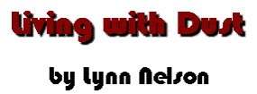 'Living with Dust,' by Lynn Nelson