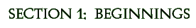 Section 1:  Beginnings