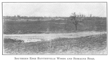 Southern Edge Bantheville Woods and Romagne Road.