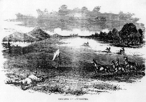 Calling Up Antelopes.