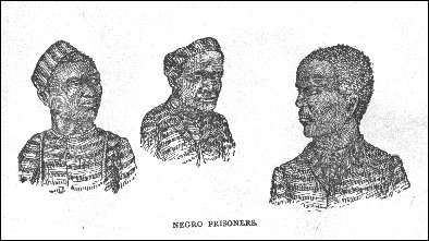Negro Prisoners