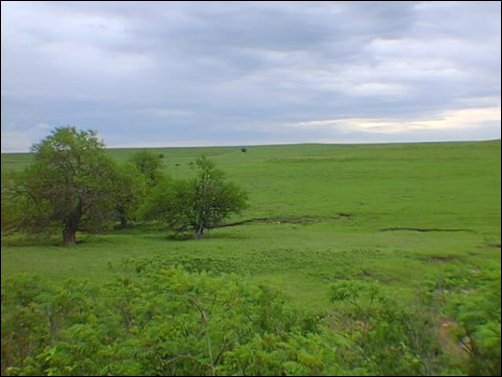 The Hills are one of the most beautiful places on Earth