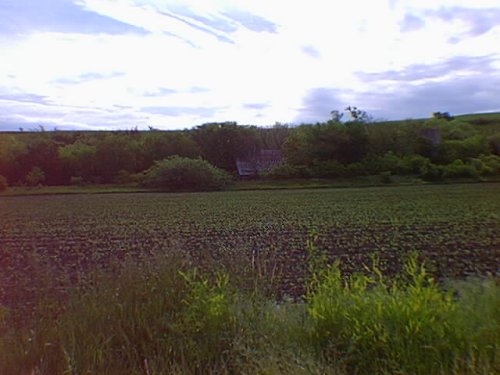Barely visible across the broad field, with a vast sky splashed with white clouds overhead