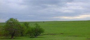 The Flint Hills