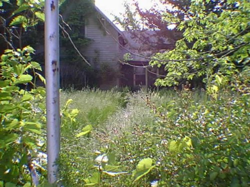 Seen through overgrowing brush, a comfortable wooden house