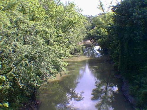 The muddy Verdigris, trees crowding close, half in sunlight