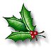 bright sprig of holly