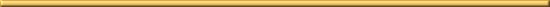 gold divider line