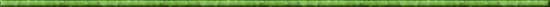 green divider line