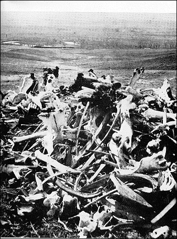 [hideous bank of bleached bones]