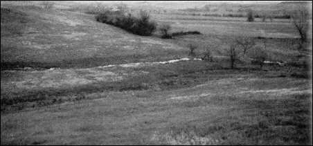 [Rockyfern Creek]