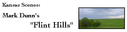 Kansas Scenes:  Mark Dunn's 'Flint Hills'