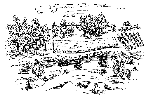 View of a Field