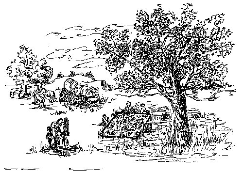 View of the Camp