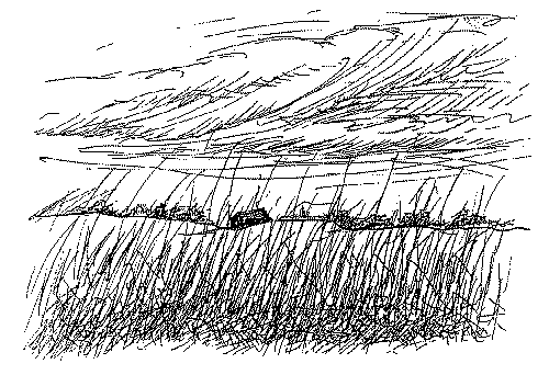 The Kansas Prairie