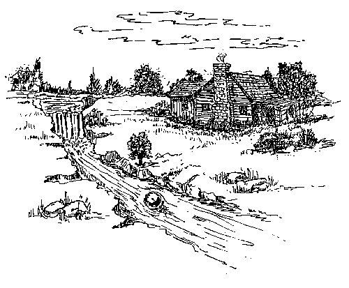 The Log Home