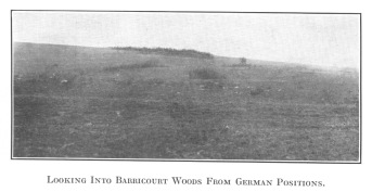 Looking Into Barricourt Woods From German Positions.