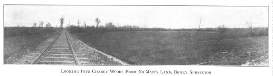 Looking Into Charey Woods From No Man's Land, Beney Subsector.