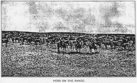 HERD ON THE RANGE.