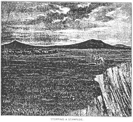 Stopping a Stampede.