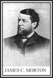 James C. Morton