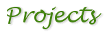 Projects